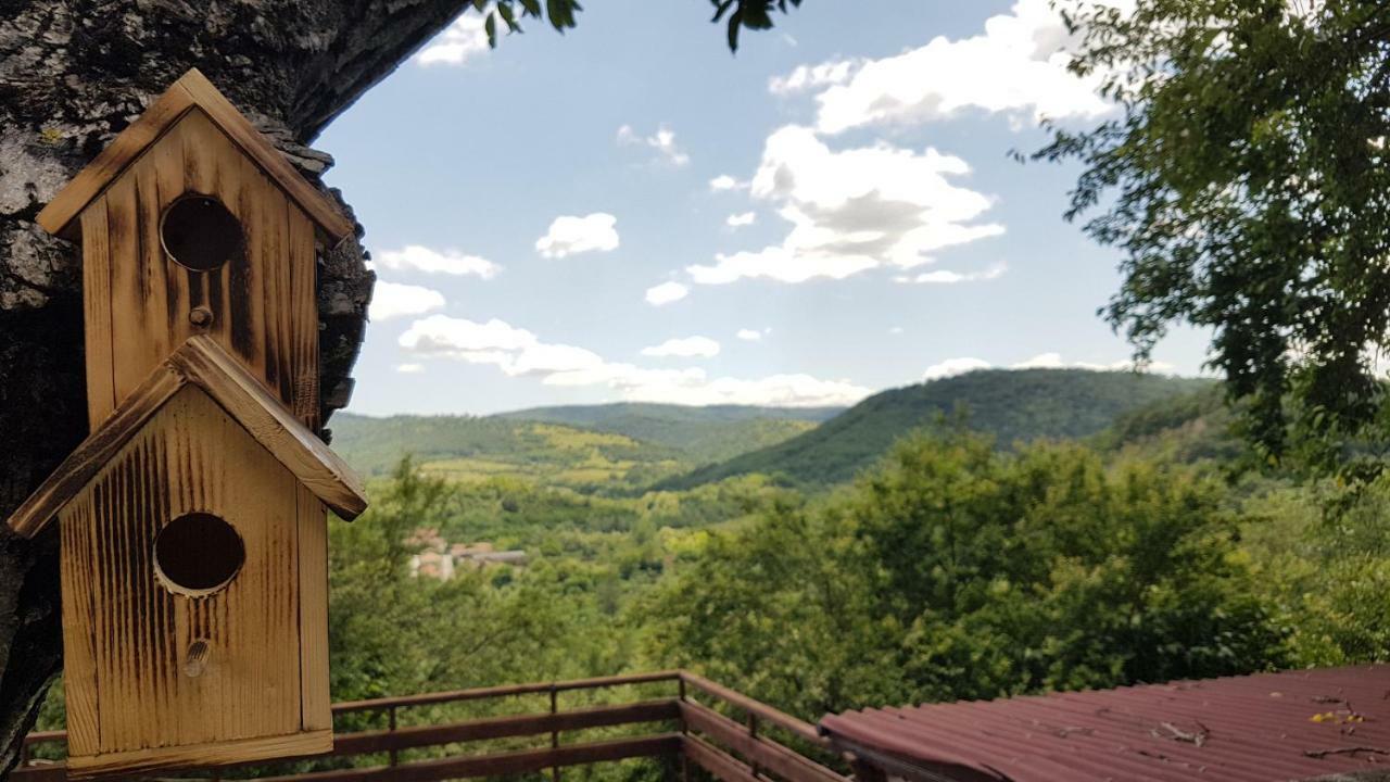 Rosarium Residence Guest House Dryanovo Exterior foto