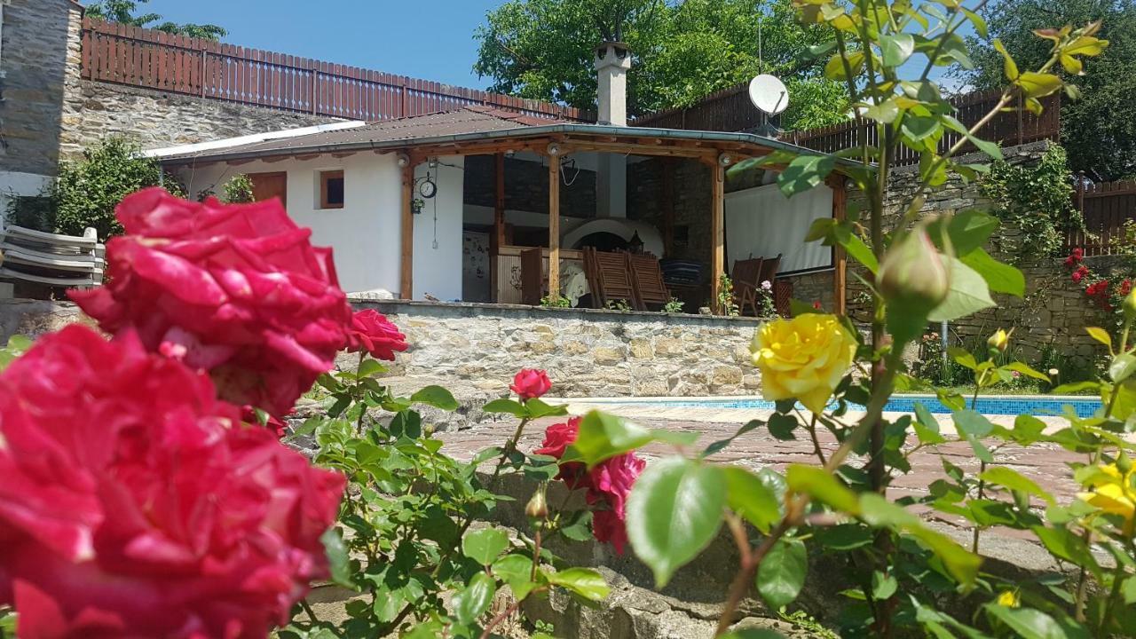 Rosarium Residence Guest House Dryanovo Exterior foto